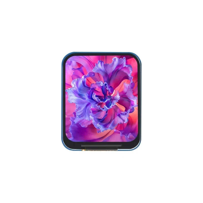 1.69 Inch IPS LCD Module ST778 - Pi Zero ulasan dan harga